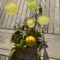 Limoncello in glaasjes